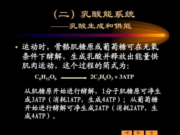 有氧運動代謝能力有壞處？