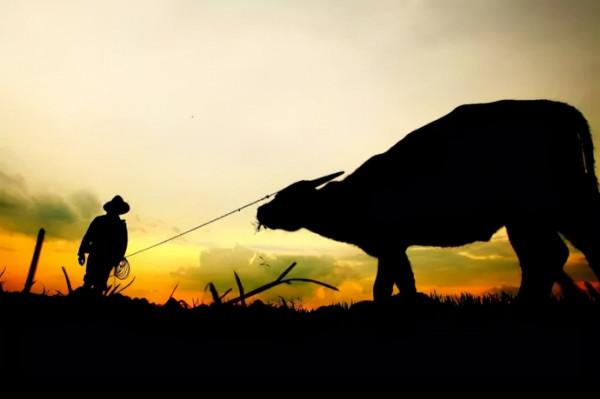 活著,真不是一件容易的事 活著,真不是一件容易的事