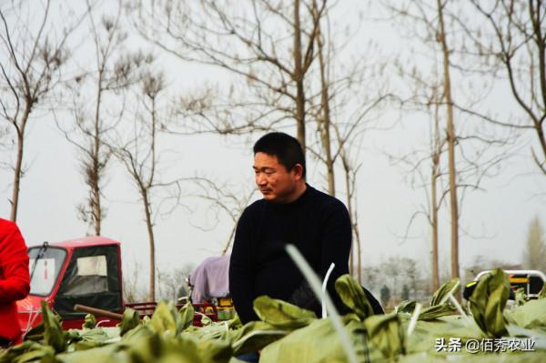 農村青年返鄉創業,投入百萬元進入農業,如今進退兩難,咋回事? 農村青年返鄉創業,投入百萬元進入農業,如今進退兩難,咋回事?