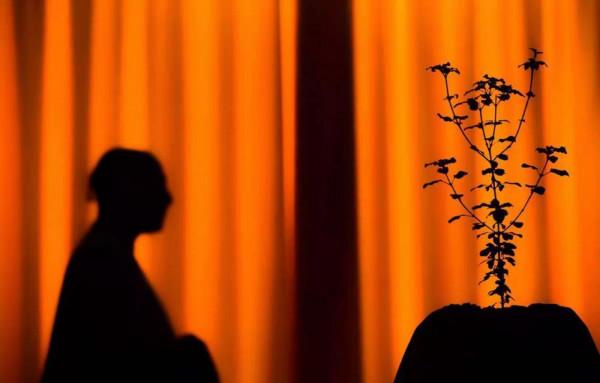 如果事與願違，定是上天另有安排