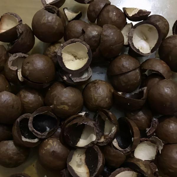 這幾種顆粒物是養花的好材料，拌一點到盆土裡，透氣又透水