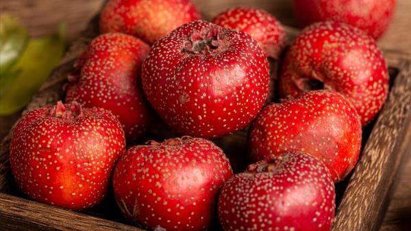 夏吃瓜秋吃果,8種“秋果”要多吃,滋陰潤肺,應季而食降秋燥 夏吃瓜秋吃果,8種“秋果”要多吃,滋陰潤肺,應季而食降秋燥