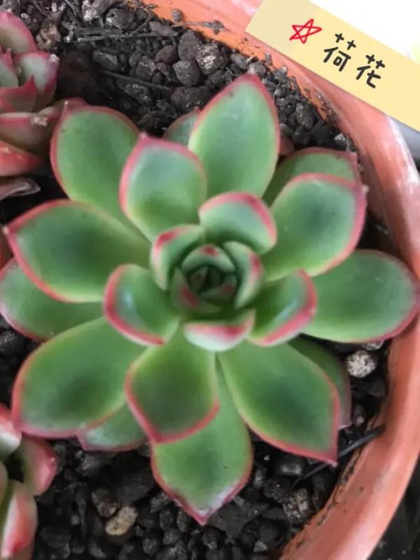 看人間煙火 看人間煙火