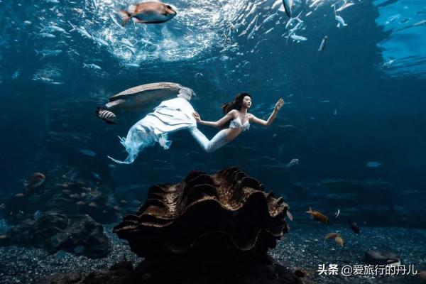 宣璐化身美人魚，優雅靈動，美麗動人