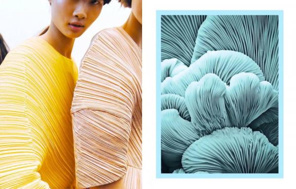 “幾何感”蘑菇褶,吹起夏日時尚風 “幾何感”蘑菇褶,吹起夏日時尚風