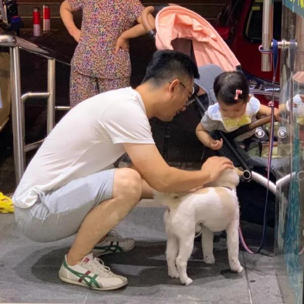 上學途中偶遇流浪狗，小男孩忽然上前給了一個“愛的抱抱”，……