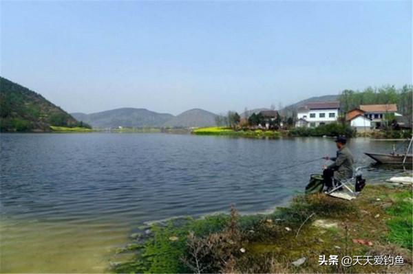 春釣鯽魚如同“趕場”,記住3個變化規律,什麼水面都能爆護 春釣鯽魚如同“趕場”,記住3個變化規律,什麼水面都能爆護