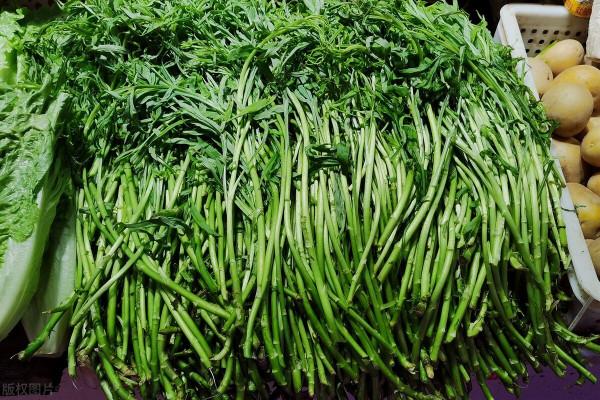 醫生帶你逛超市