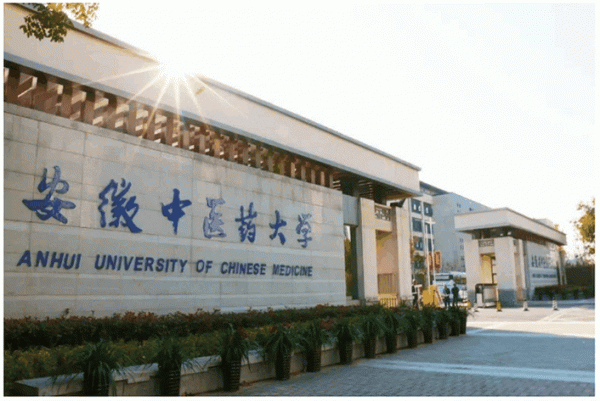 搶灘文娛領域！NEC騎士系列創新打造沉浸式星空酒吧