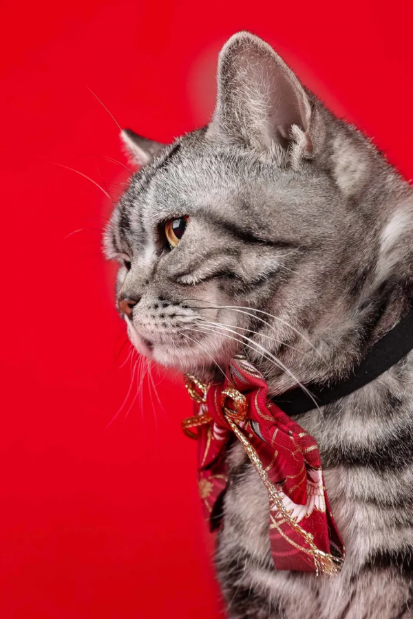 幹飽飯，才有力氣營業