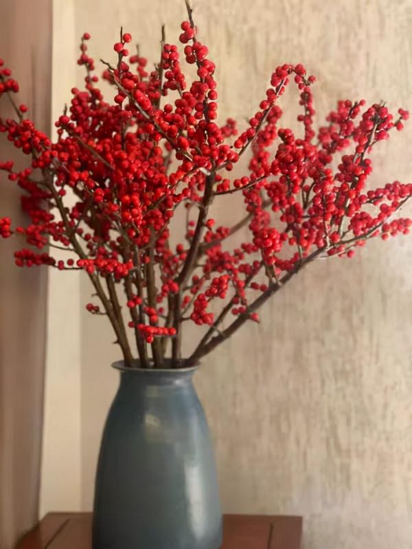 年宵花中的&OpenCurlyDoubleQuote;愛馬仕&rdquo;，紅果子掛滿枝，紅紅火火大吉大利