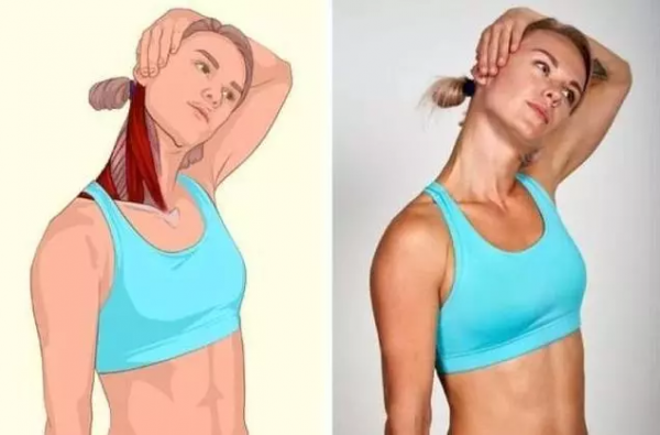 終於找到這套全身拉筋動作3D圖解,比教科書還管用 終於找到這套全身拉筋動作3D圖解,比教科書還管用