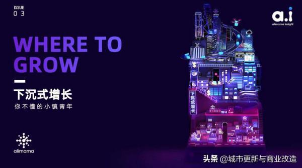 阿里媽媽：下沉市場洞察報告：你不懂的小鎮青年54頁