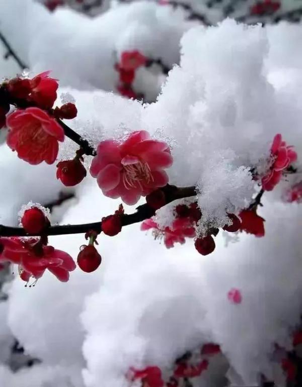 立冬夜思（散文）