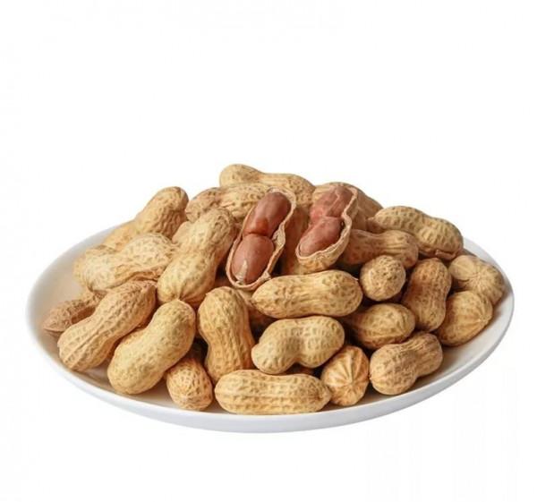 淘寶上有哪些冷門但是好吃的零食呢