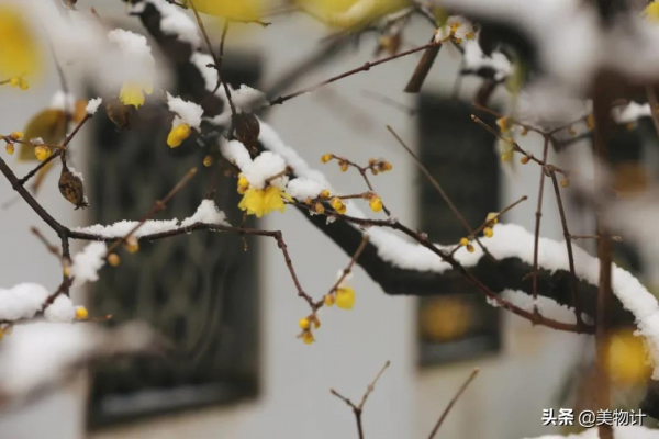 今冬最閒適的一首詩,這種慢生活,太令人嚮往了 今冬最閒適的一首詩,這種慢生活,太令人嚮往了