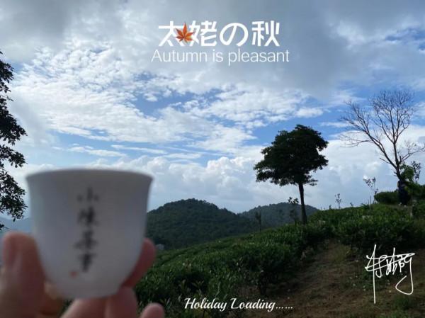 寒露節的第二天，村姑陳在生態茶園看了一晌高天上的流雲，美呆了