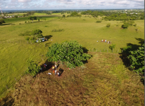 研究:鐳射測繪顯示墨西哥有近500個古代祭祀場所 研究:鐳射測繪顯示墨西哥有近500個古代祭祀場所