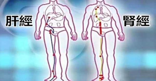 名老中醫嚴世芸特效方分享，辯證治療高血壓，對這些證型更有效