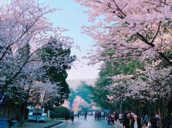 黃渤賈玲《穿過寒冬擁抱你》“口感”豐富,肉夠緊可惜骨有點松 黃渤賈玲《穿過寒冬擁抱你》“口感”豐富,肉夠緊可惜骨有點松