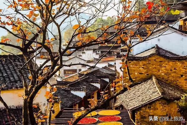 國慶中秋自駕遊，12條最美賞秋線路，看遍全國絕美秋色