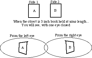 高達5&period;76億畫素，佔用大腦65&percnt;的&OpenCurlyDoubleQuote;記憶體&rdquo;！人類眼睛有多強大？