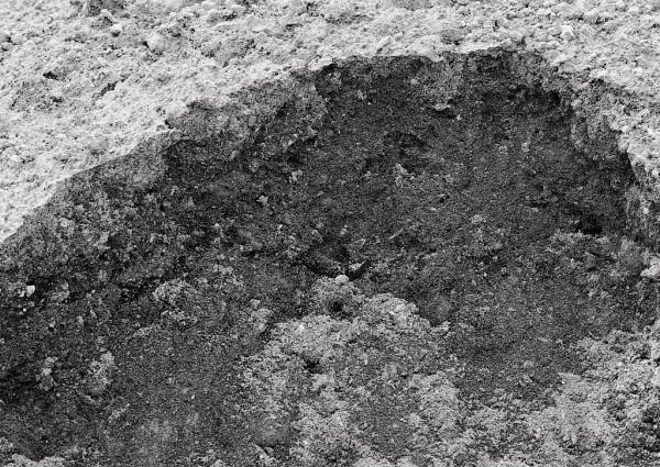 民間故事：工人修建水渠，挖到了蛇窩，放羊老漢說，準備50只老鼠