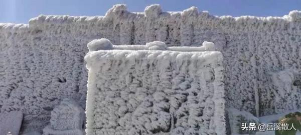 母親九十二誕辰祭