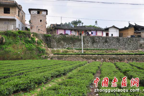 鋼鐵游擊隊激戰鳳安樓