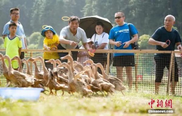 7天5.15億人次出遊,花了3890億,你花多少錢? 7天5.15億人次出遊,花了3890億,你花多少錢?