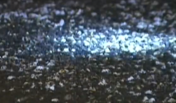 故事:江西出現無蚊奇村,數千年未被蚊子侵擾,專家調查給出解釋 故事:江西出現無蚊奇村,數千年未被蚊子侵擾,專家調查給出解釋