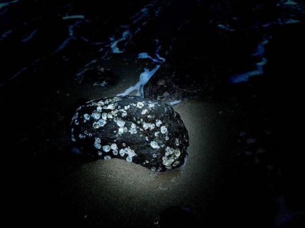 海邊&mdash;&mdash;石