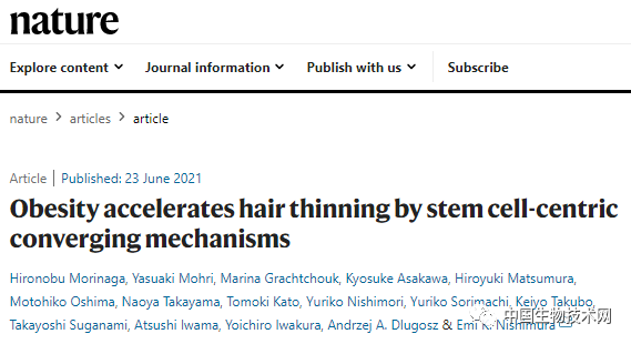 希望來了！“防脫”要補充大豆飲食，一種益生菌或能逆轉“禿頭”