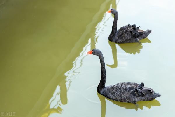 2021容易崛起的行業 2021容易崛起的行業