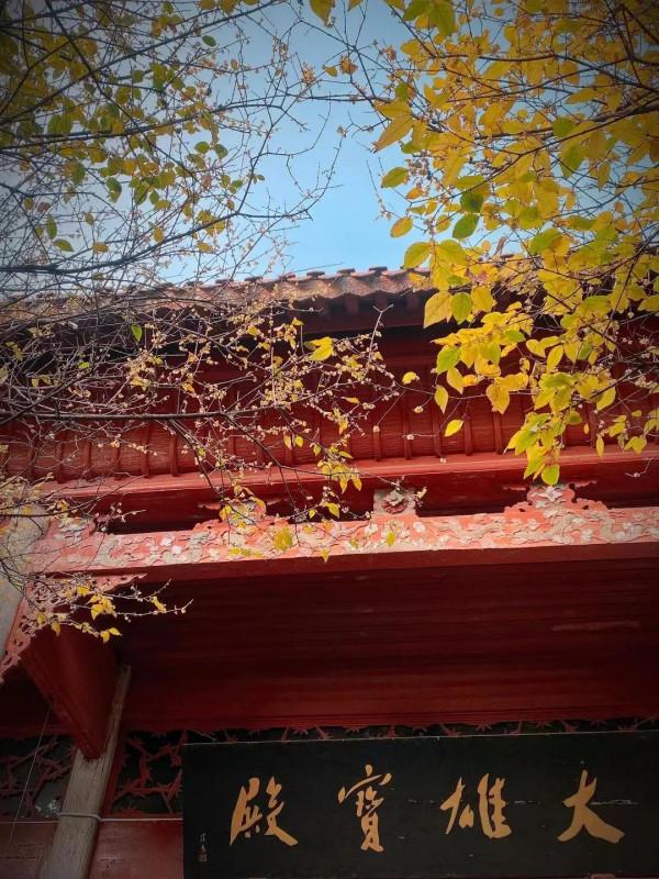 “所念皆所願 所願皆所得”｜古開福寺