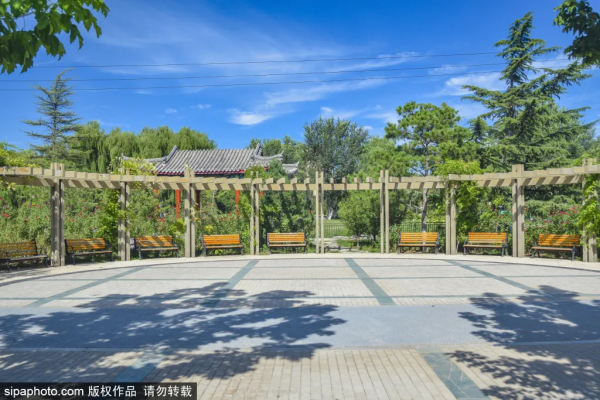 免費！這些公園低調卻各有特色，還有綠皮火車！