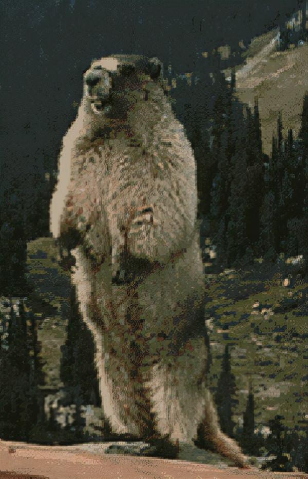 海獺蠢萌的外表下,隱藏了可怕的繁殖過程,是不折不扣的黑暗王者 海獺蠢萌的外表下,隱藏了可怕的繁殖過程,是不折不扣的黑暗王者