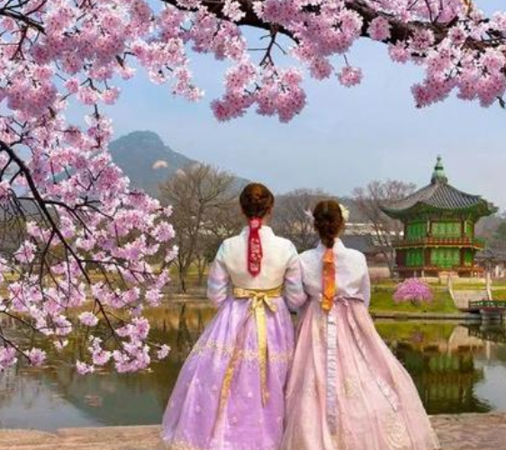 “韓國”冷知識，帶你看看一個真實的韓國