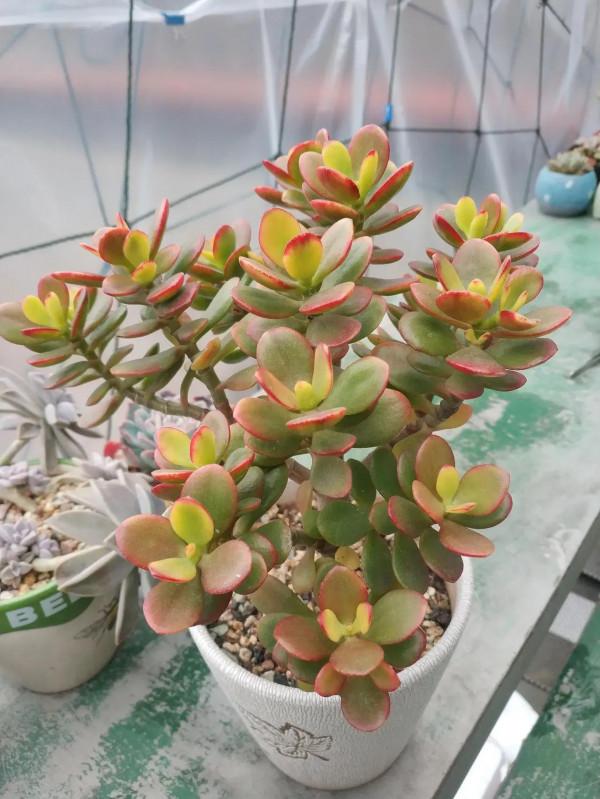 “希望和悲傷,都是一縷光” “希望和悲傷,都是一縷光”