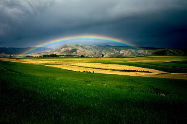 忠言:精品男人的五大特質 忠言:精品男人的五大特質