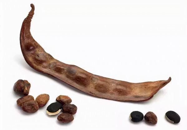 奇木巧雕,美不勝收 奇木巧雕,美不勝收