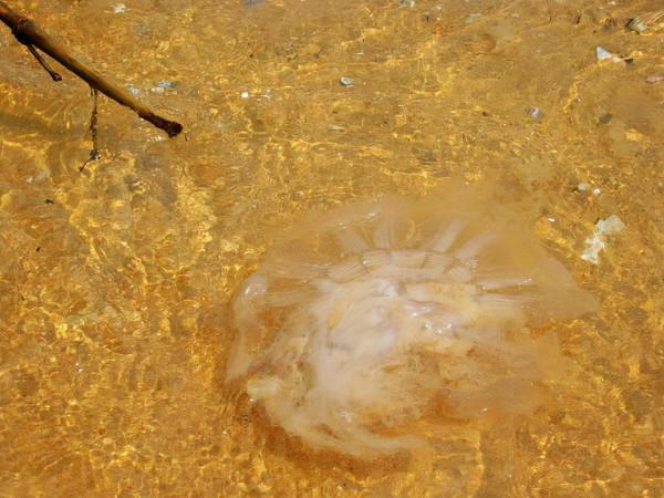 福建古雷：在無人的孤島上露營