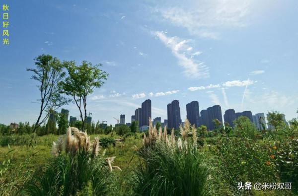 把床裝進包包的願望,反射鏡面GS1幫你實現啦 把床裝進包包的願望,反射鏡面GS1幫你實現啦