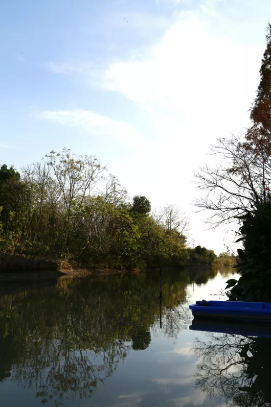 聯莊村：一個＂整＂出來的野趣盎然江南水鄉