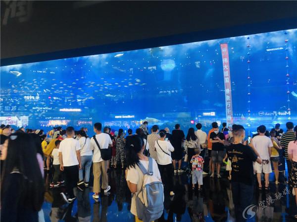 國慶出門堵?在雙流吃喝玩樂,一樣巴適得很 國慶出門堵?在雙流吃喝玩樂,一樣巴適得很