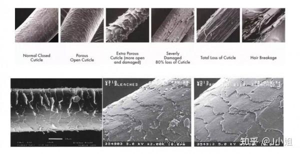 女明星的頭髮竟然越來越多?她的保養是真的絕,禿頭少女快看過來 女明星的頭髮竟然越來越多?她的保養是真的絕,禿頭少女快看過來