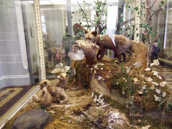 回顧那些我曾去過的地方(一)俄羅斯之一