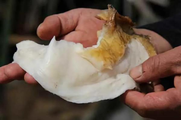 2014年他在遼寧撿到一塊“肥肉”，1年後價格漲到140萬