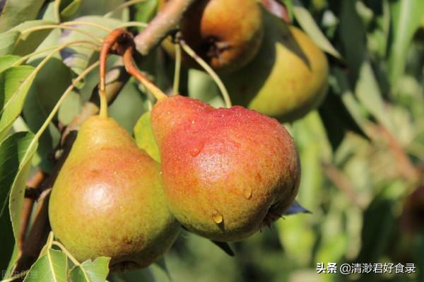 秋分到天轉涼,這兩方面飲食要多關注,順應時節保健康,別太大意 秋分到天轉涼,這兩方面飲食要多關注,順應時節保健康,別太大意