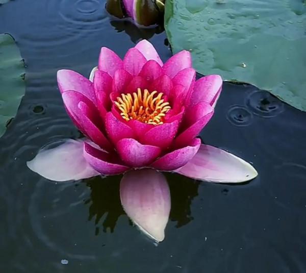 女孩子怎樣才能不辛苦 女孩子怎樣才能不辛苦